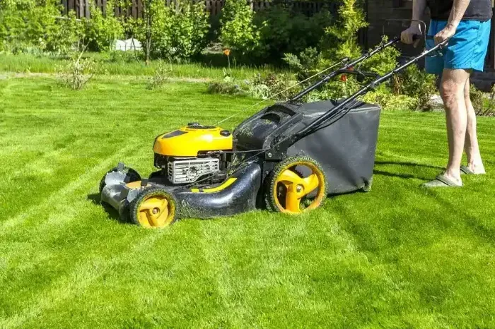 Affordable Lawn Mowing in Longmont, CO