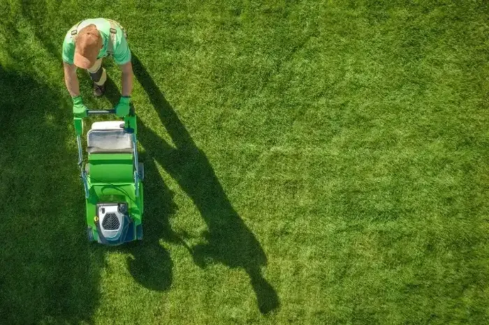 Can you mow wet grass Longmont, CO