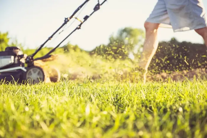 Can you mow wet grass in Longmont, CO