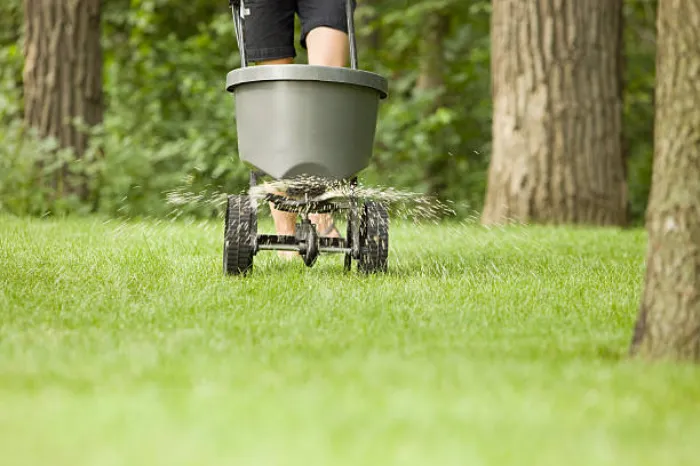 Dependable Lawn Fertilization in Longmont, CO