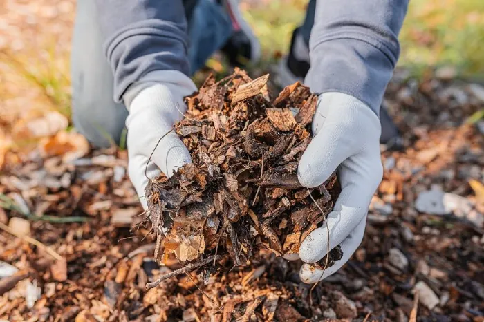 Dependable Mulching in Longmont, CO