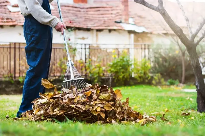 Detailed Yard Cleanup in Longmont, CO