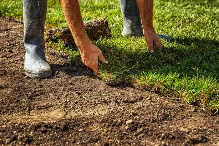 Excellent Sod Installation in Longmont, CO