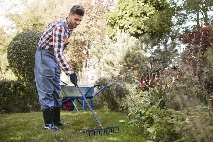 Exceptional Yard Cleanup in Longmont, CO