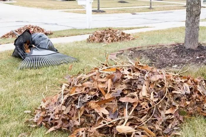 High-quality Yard Cleanup in Longmont, CO