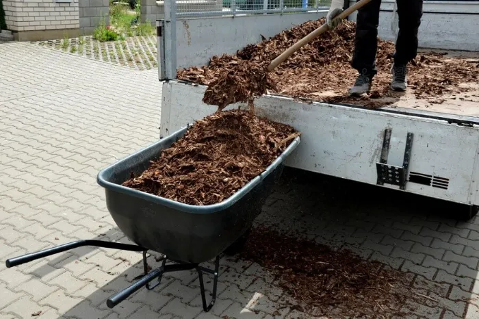 How long does mulch last Longmont, CO