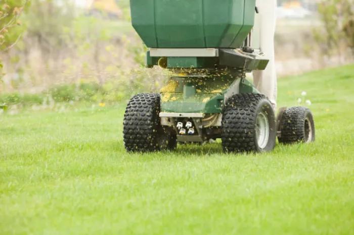 How often should you fertilize your lawn Longmont, CO