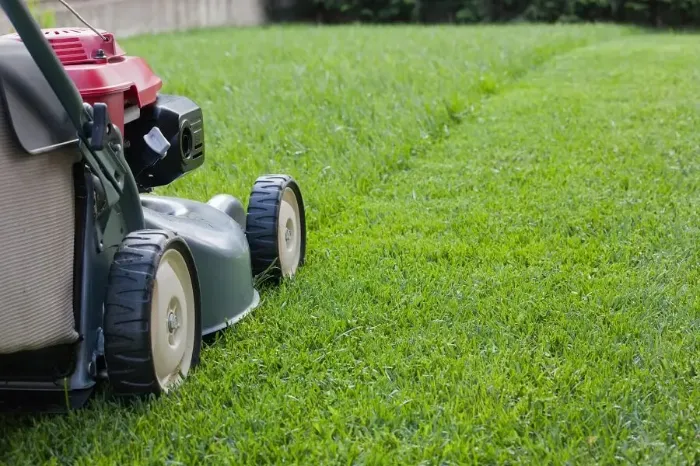 Reliable Lawn Mowing in Longmont, CO