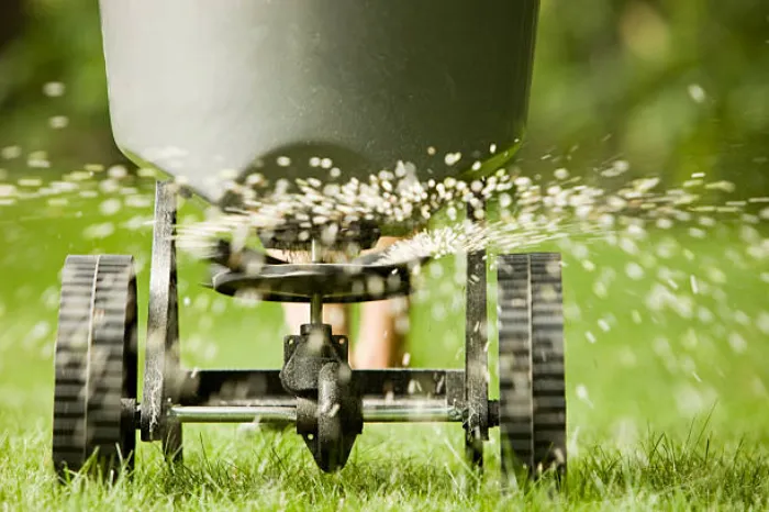 Top-notch Lawn Fertilization in Longmont, CO