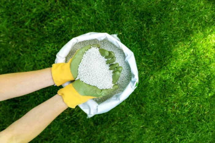 When is the best time to fertilize your lawn Longmont, CO