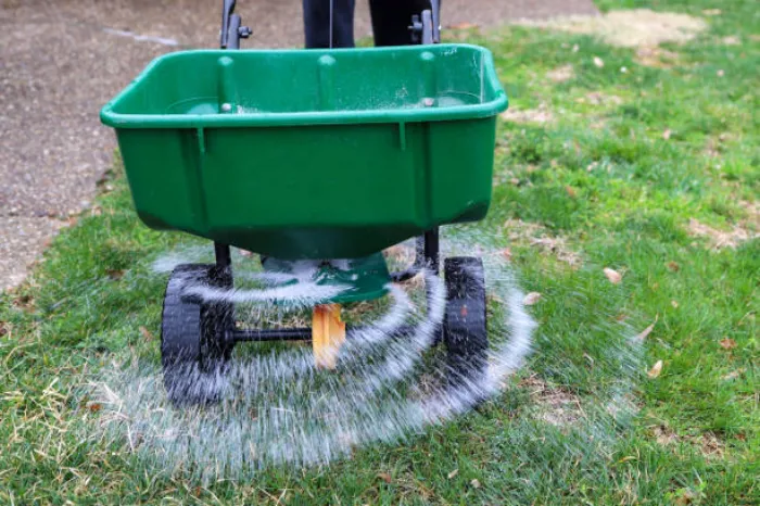 When is the best time to fertilize your lawn in Longmont, CO